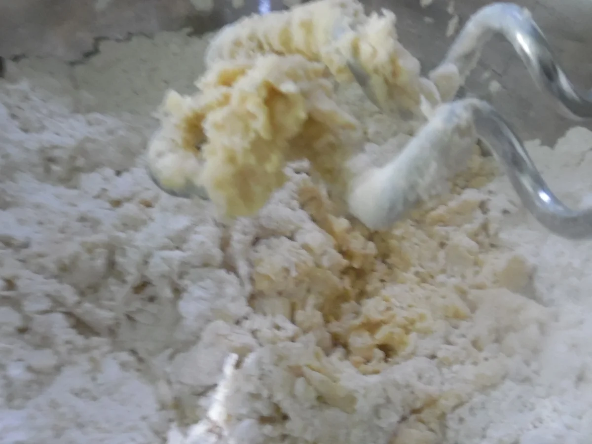 Oster-"Küken"-Brötchen - Rezept - Bild Nr. 5495