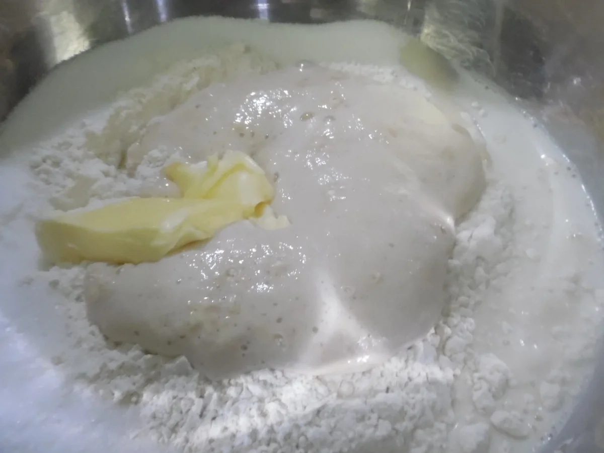 Oster-"Küken"-Brötchen - Rezept - Bild Nr. 5496