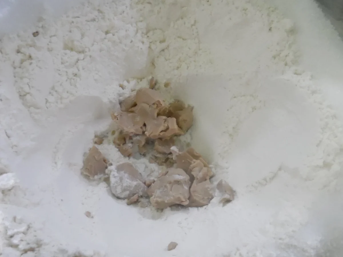 Oster-"Küken"-Brötchen - Rezept - Bild Nr. 5499