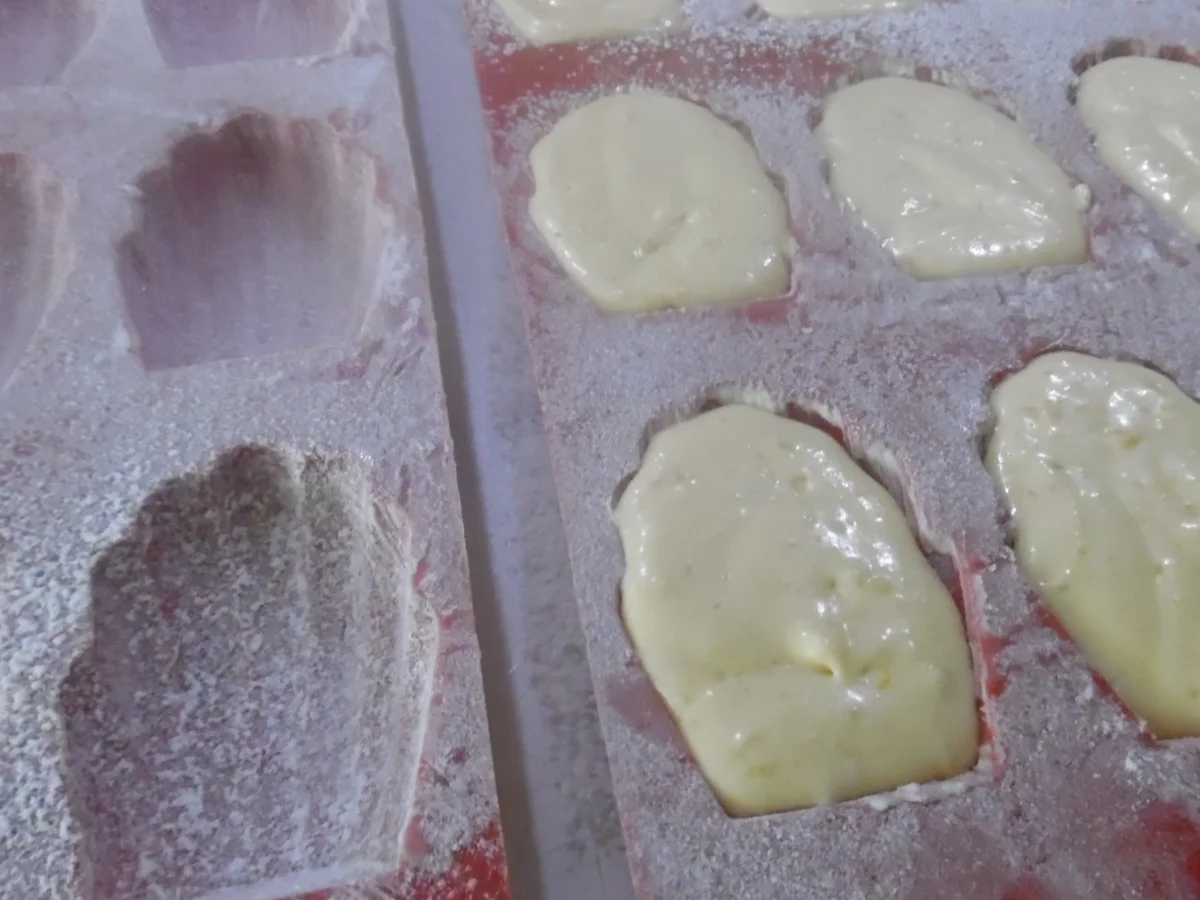 Madeleines - Rezept - Bild Nr. 5486