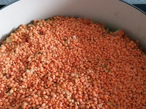 Rezept: Linsensuppe "Hausfrauenart" Bild Nr. 5487 Linsensuppe "Hausfrauenart" - Rezept - Bild Nr. 5487