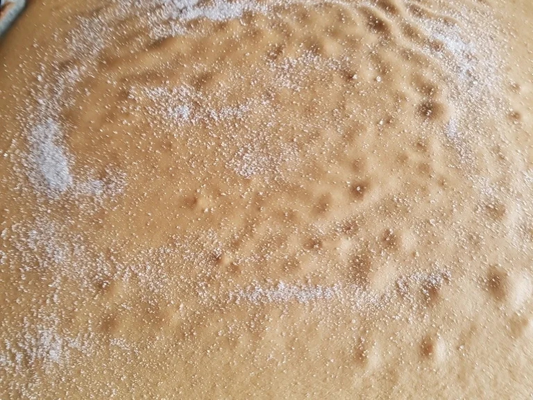 "Biskuitrolle" mit Erdbeer-Sahnefüllung sowie Schokotopping - Rezept - Bild Nr. 5493