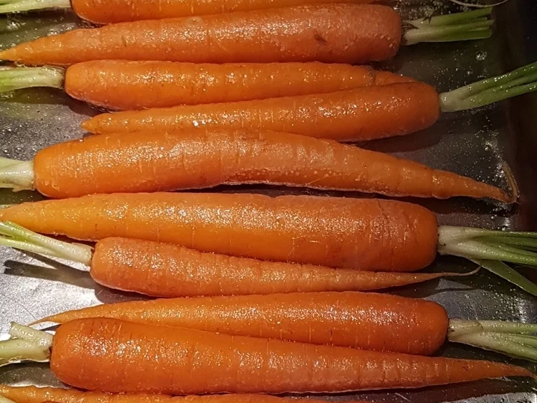 Rezept: "Gemüseteller" excellence (von VEGAN bis Omni) alles möglich auch mit "Zoodles" Bild Nr. 5491 "Gemüseteller" excellence (von VEGAN bis Omni) alles möglich auch mit "Zoodles" - Rezept - Bild Nr. 5491