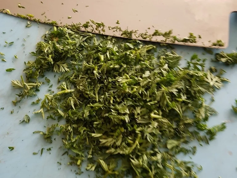 Rezept: "Gemüseteller" excellence (von VEGAN bis Omni) alles möglich auch mit "Zoodles" Bild Nr. 5498 "Gemüseteller" excellence (von VEGAN bis Omni) alles möglich auch mit "Zoodles" - Rezept - Bild Nr. 5498