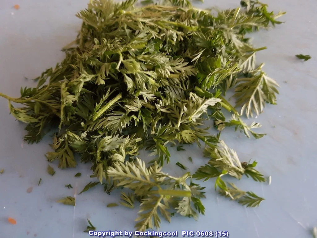 Rezept: "Gemüseteller" excellence (von VEGAN bis Omni) alles möglich auch mit "Zoodles" Bild Nr. 5499 "Gemüseteller" excellence (von VEGAN bis Omni) alles möglich auch mit "Zoodles" - Rezept - Bild Nr. 5499