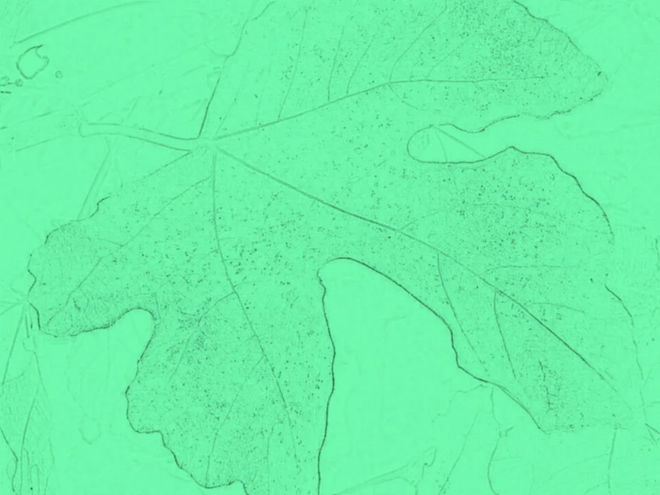 Rezept: kleine Tarte -Tartins Bild Nr. 2 kleine Tarte -Tartins - Rezept - Bild Nr. 2