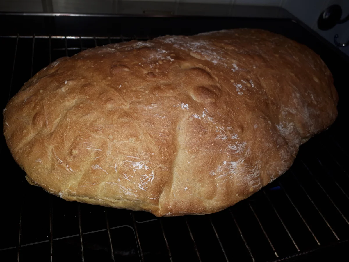 BiNe` S DINKELBROT - Rezept - Bild Nr. 5513