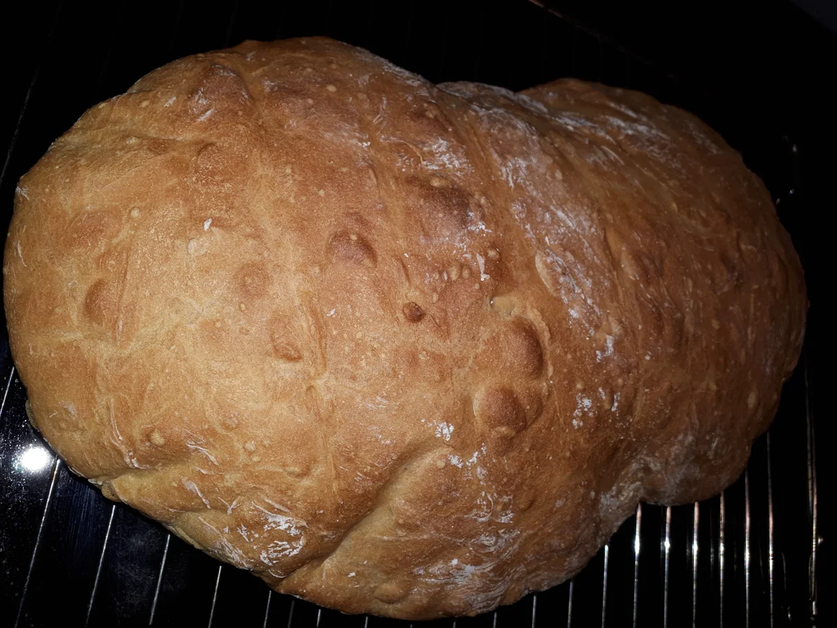 BiNe` S DINKELBROT - Rezept - Bild Nr. 5514