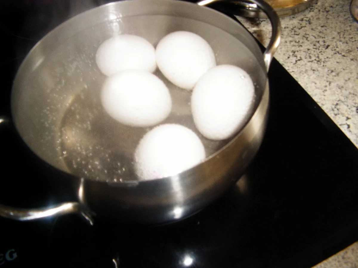 Eierragout - Rezept - Bild Nr. 5517