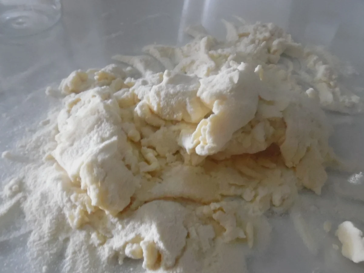 Kalbsmedaillons mit Gorgonzola-Soße, Cavatelli und Gemüsebeilage - Rezept - Bild Nr. 5534