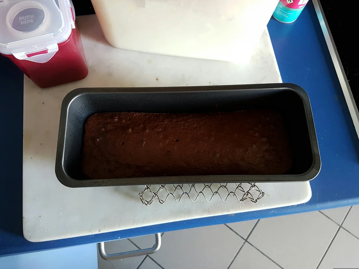 Osterhasen-Kuchen - Rezept - Bild Nr. 5537