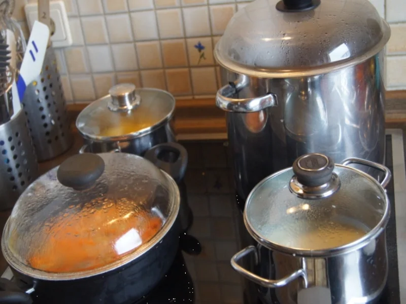 Zarter Tafelspitz mit pikanter Meerrettichsauce, Honig-Möhreblüten und Drillingen - Rezept - Bild Nr. 5578