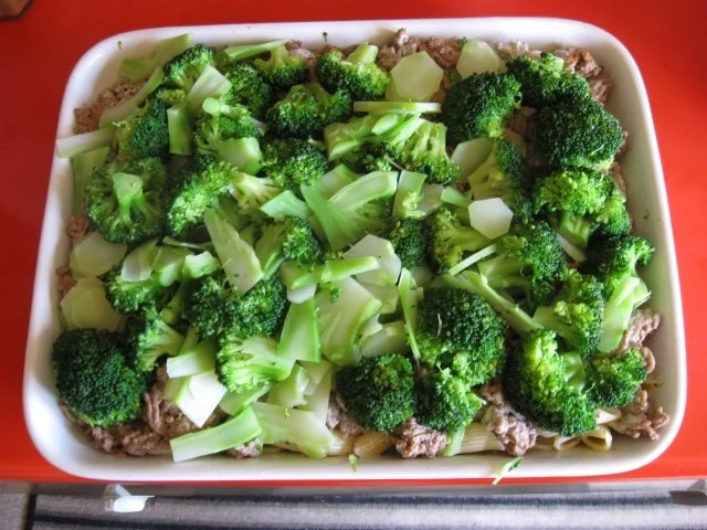 Brokkoli - Nudel - Hack - Auflauf - Rezept - Bild Nr. 5588