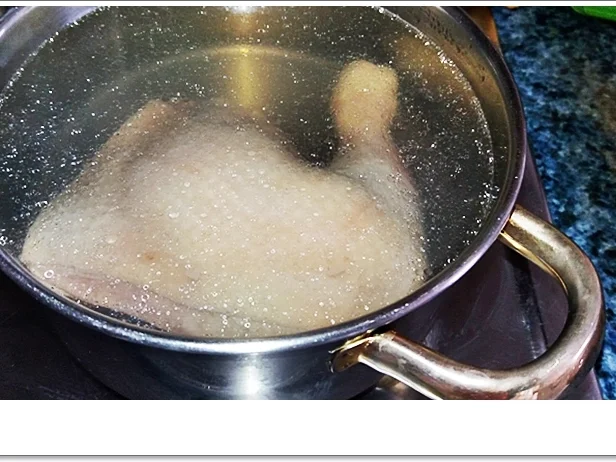 Frittierte Frühlingsrollen mit Gemüse-Hähnchen und Fadennudeln - Rezept - Bild Nr. 5600