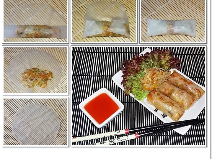 Frittierte Frühlingsrollen mit Gemüse-Hähnchen und Fadennudeln - Rezept - Bild Nr. 5606