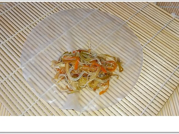 Frittierte Frühlingsrollen mit Gemüse-Hähnchen und Fadennudeln - Rezept - Bild Nr. 5607