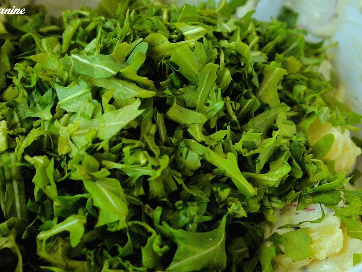 Rezept: Kartoffel-Rucola-Salat Bild Nr. 5590 Kartoffel-Rucola-Salat - Rezept - Bild Nr. 5590