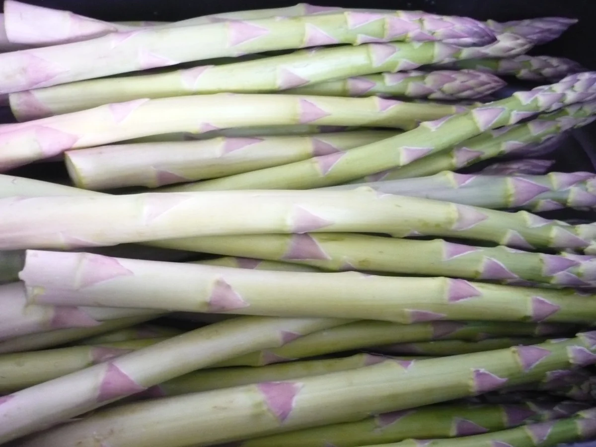 Grüner Spargel und Lachs vom Blech - Rezept - Bild Nr. 5586