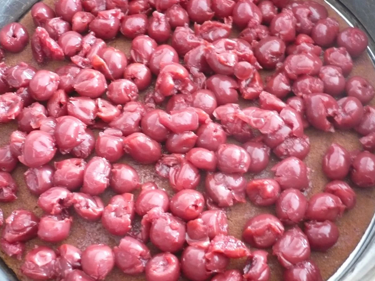 Schoko - Eierlikörtorte mit Kirschen - Rezept - Bild Nr. 5586