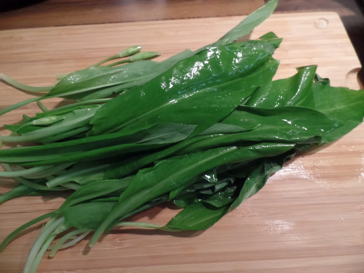 Bärlauch-Feta-Tomaten-Kringel - Rezept - Bild Nr. 5605