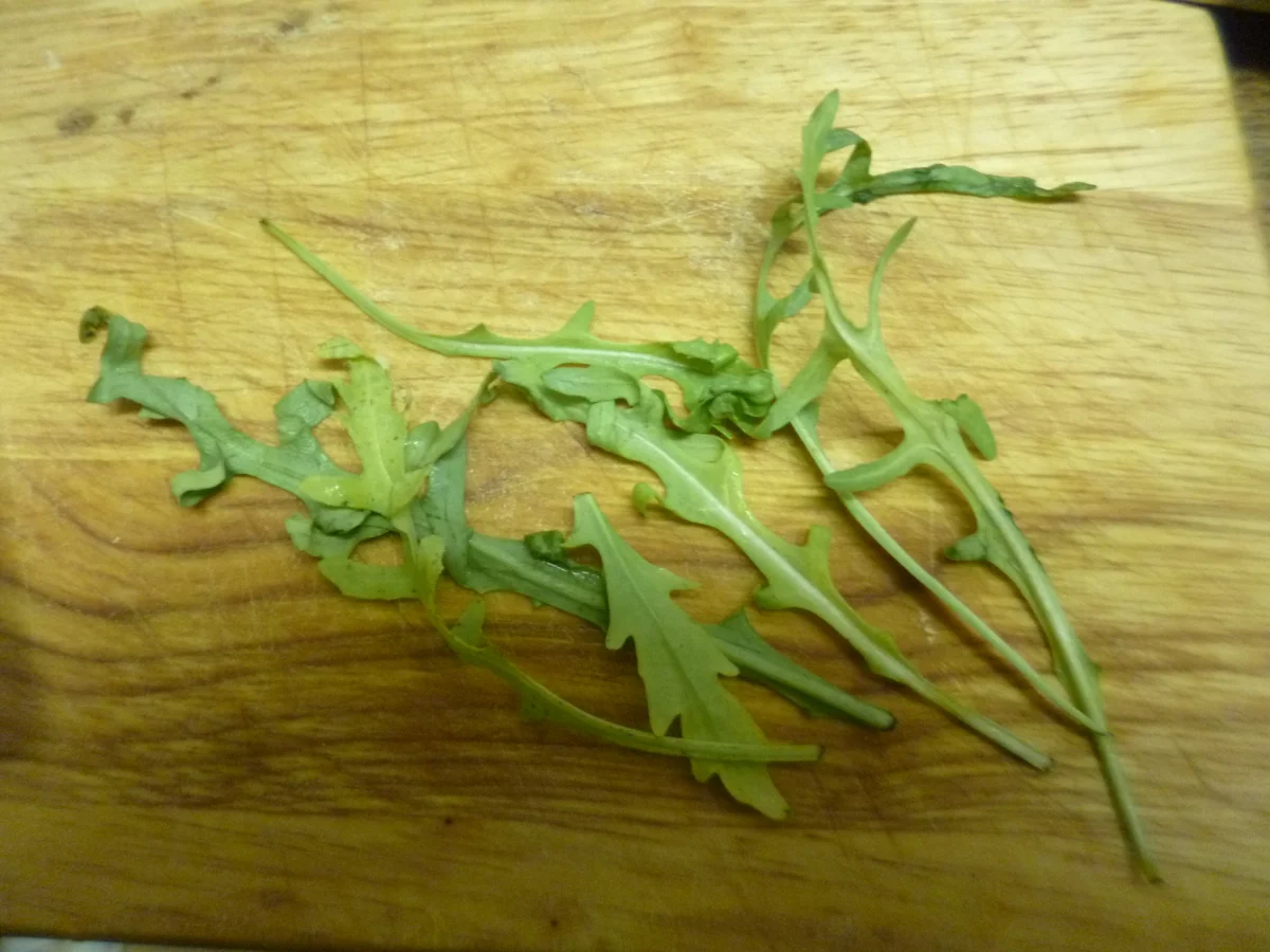 Ruccola Kräuterbutter - Rezept - Bild Nr. 5605