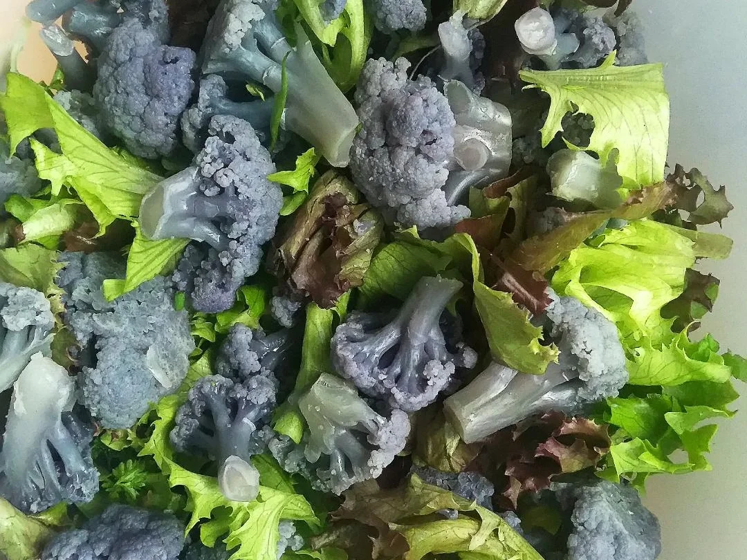 Rezept: Violetter Blumenkohl Salat Bild Nr. 5603 Violetter Blumenkohl Salat - Rezept - Bild Nr. 5603