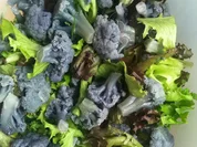 Violetter Blumenkohl Salat - Rezept - Bild Nr. 5603