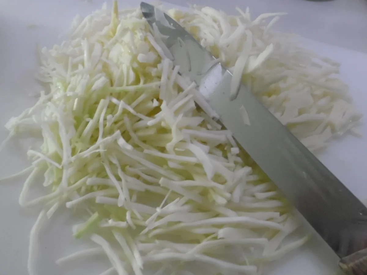 Weißkohl-Hack-Auflauf - Rezept - Bild Nr. 5624