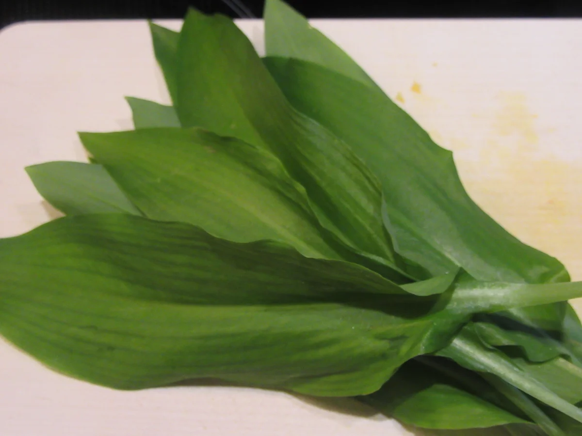 Rezept: Butter: Bärlauch-Zitronen-Butter mit Chili Bild Nr. 5611 Butter: Bärlauch-Zitronen-Butter mit Chili - Rezept - Bild Nr. 5611