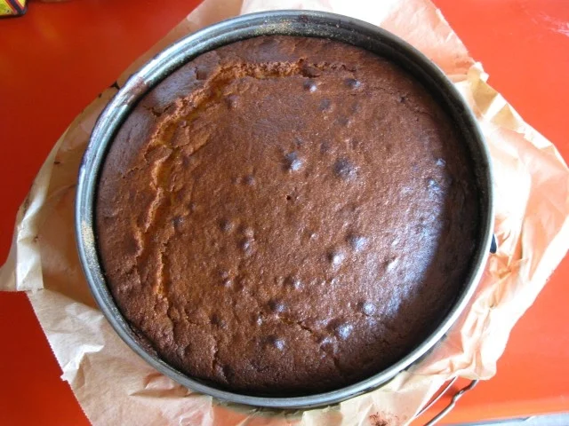 Rührkuchen mit Aprikosen - Rezept - Bild Nr. 13