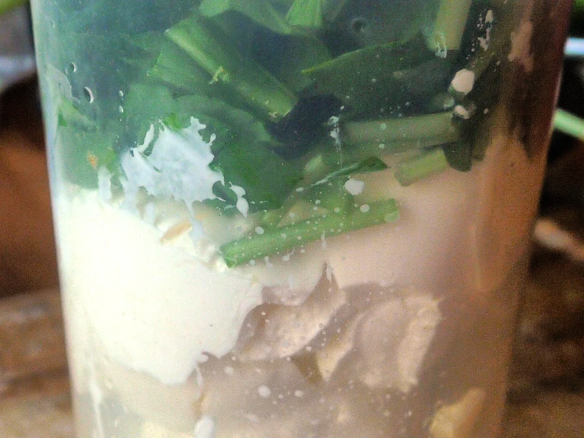 Bärlauch-Dipp - Rezept - Bild Nr. 5617