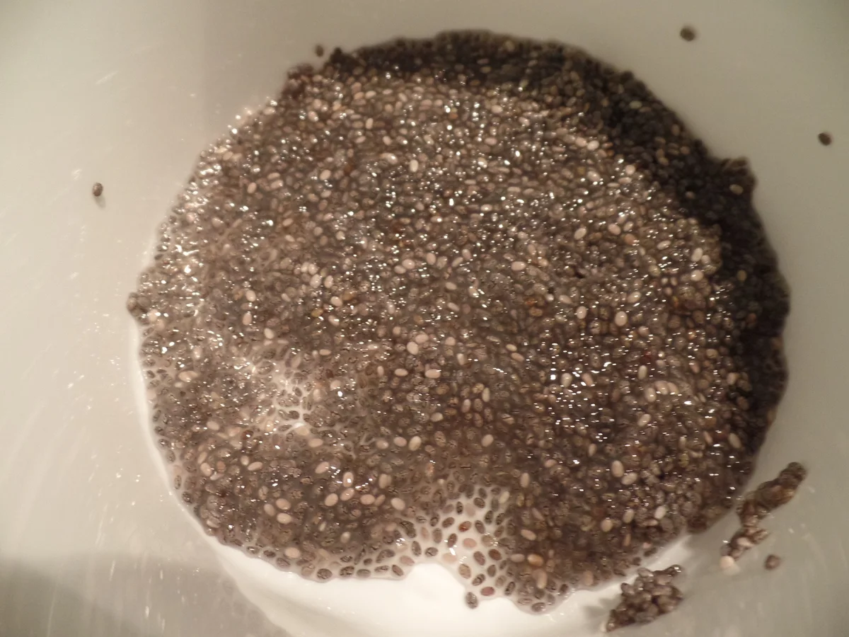 Rhabarber -Chia-Grütze mit Sahne - Rezept - Bild Nr. 5618