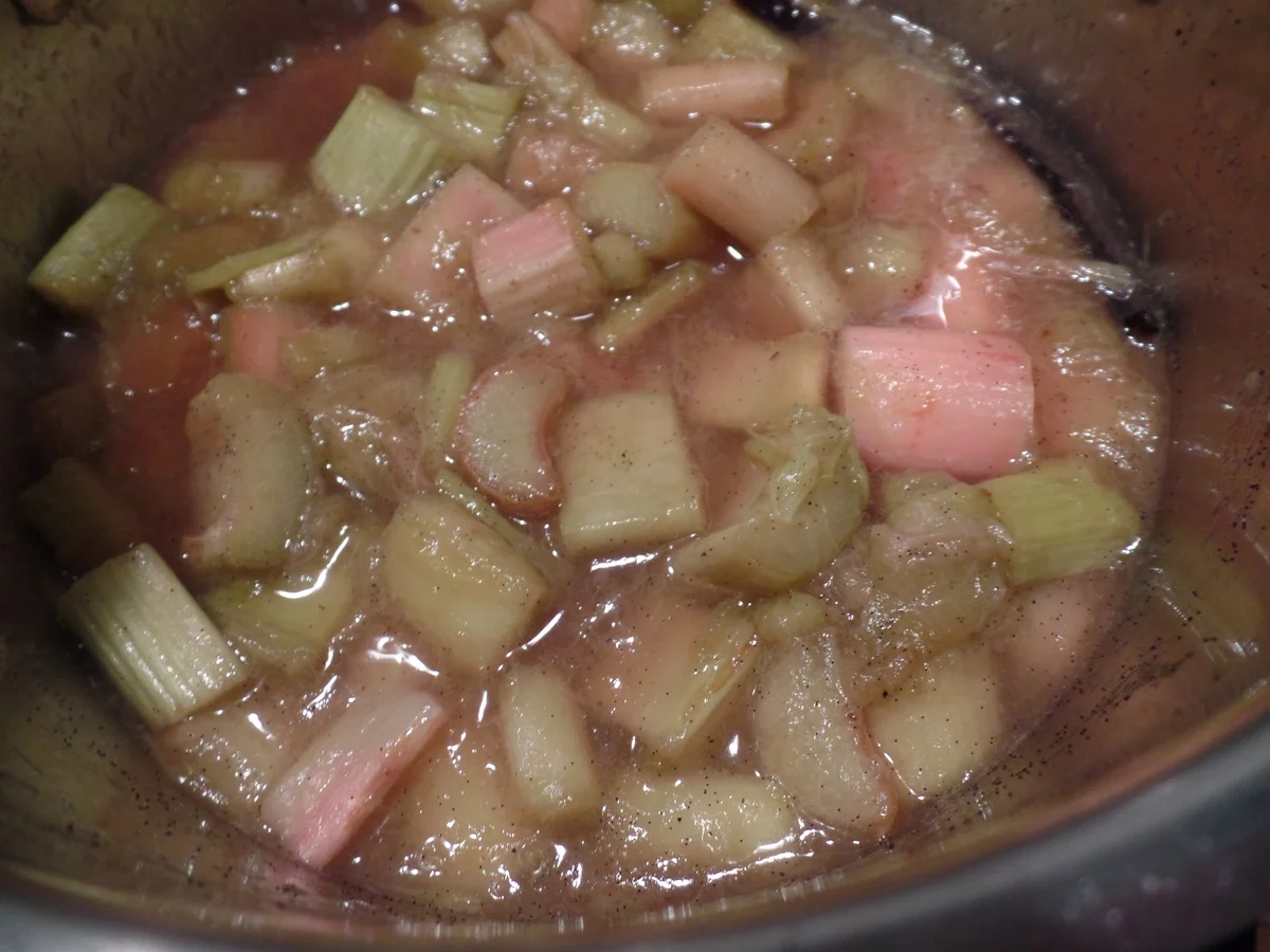 Rhabarber -Chia-Grütze mit Sahne - Rezept - Bild Nr. 5620