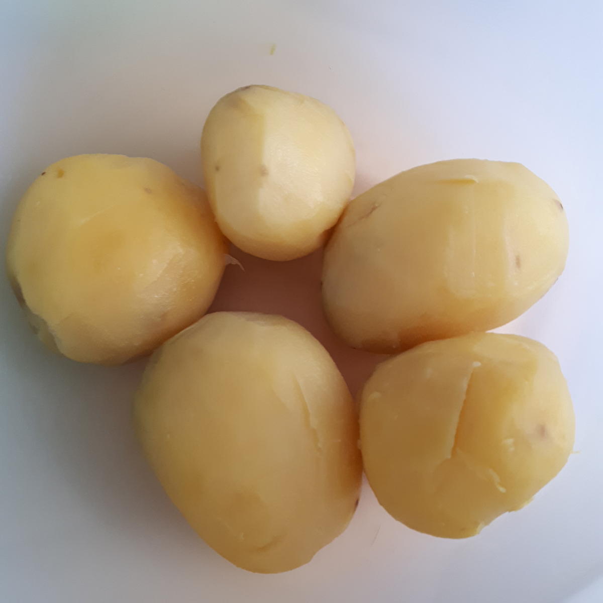 indisch: Malai Kofta - Kartoffel-Käse Bällchen in pikanter Soße - Rezept - Bild Nr. 5625