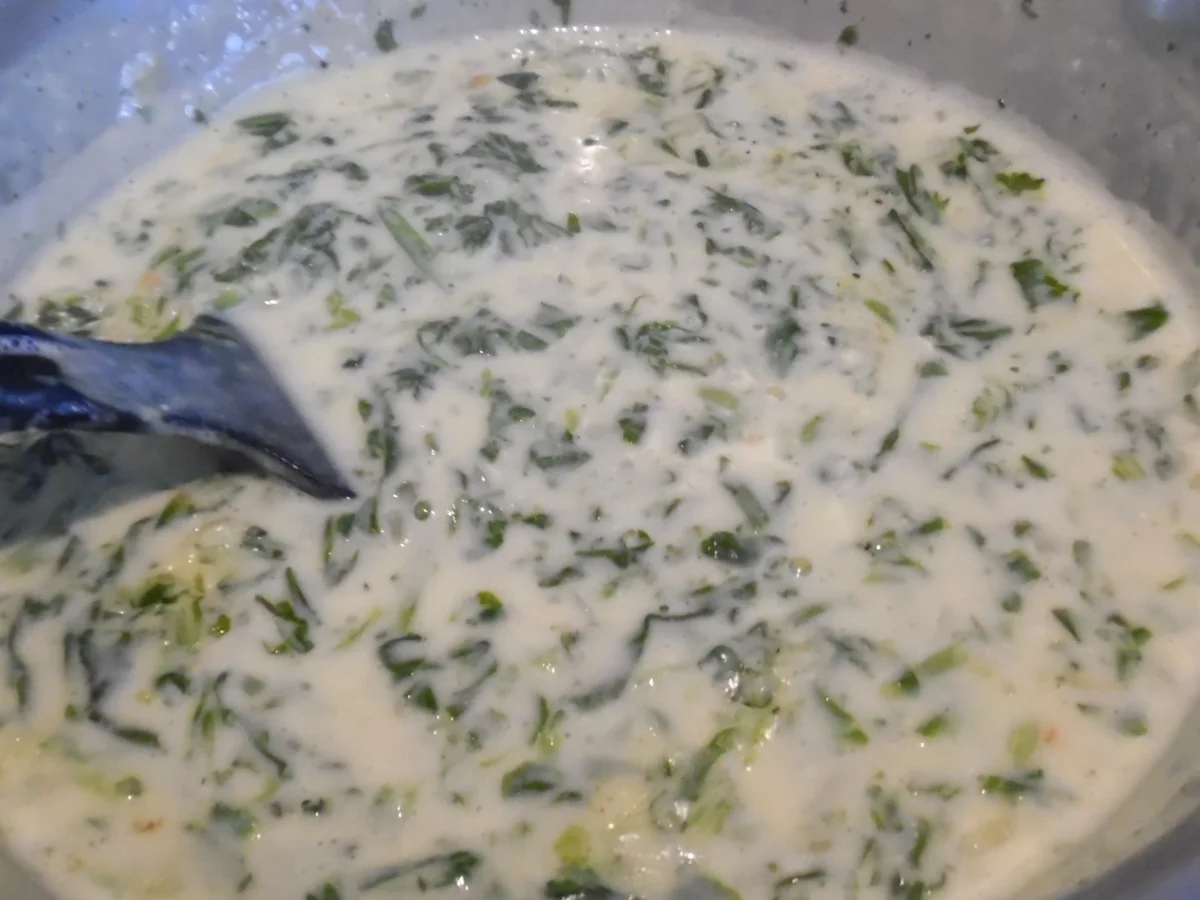 Rezept: Cannelloni mit Brätfüllung, Spinat-Frischkäse-Soße und Parmesan-Haube Bild Nr. 5654 Cannelloni mit Brätfüllung, Spinat-Frischkäse-Soße und Parmesan-Haube - Rezept - Bild Nr. 5654