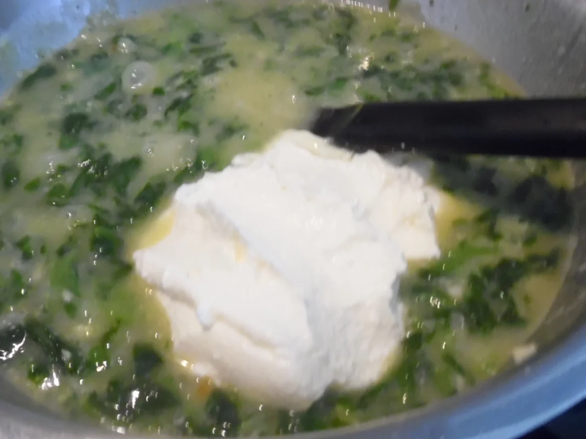 Rezept: Cannelloni mit Brätfüllung, Spinat-Frischkäse-Soße und Parmesan-Haube Bild Nr. 5655 Cannelloni mit Brätfüllung, Spinat-Frischkäse-Soße und Parmesan-Haube - Rezept - Bild Nr. 5655