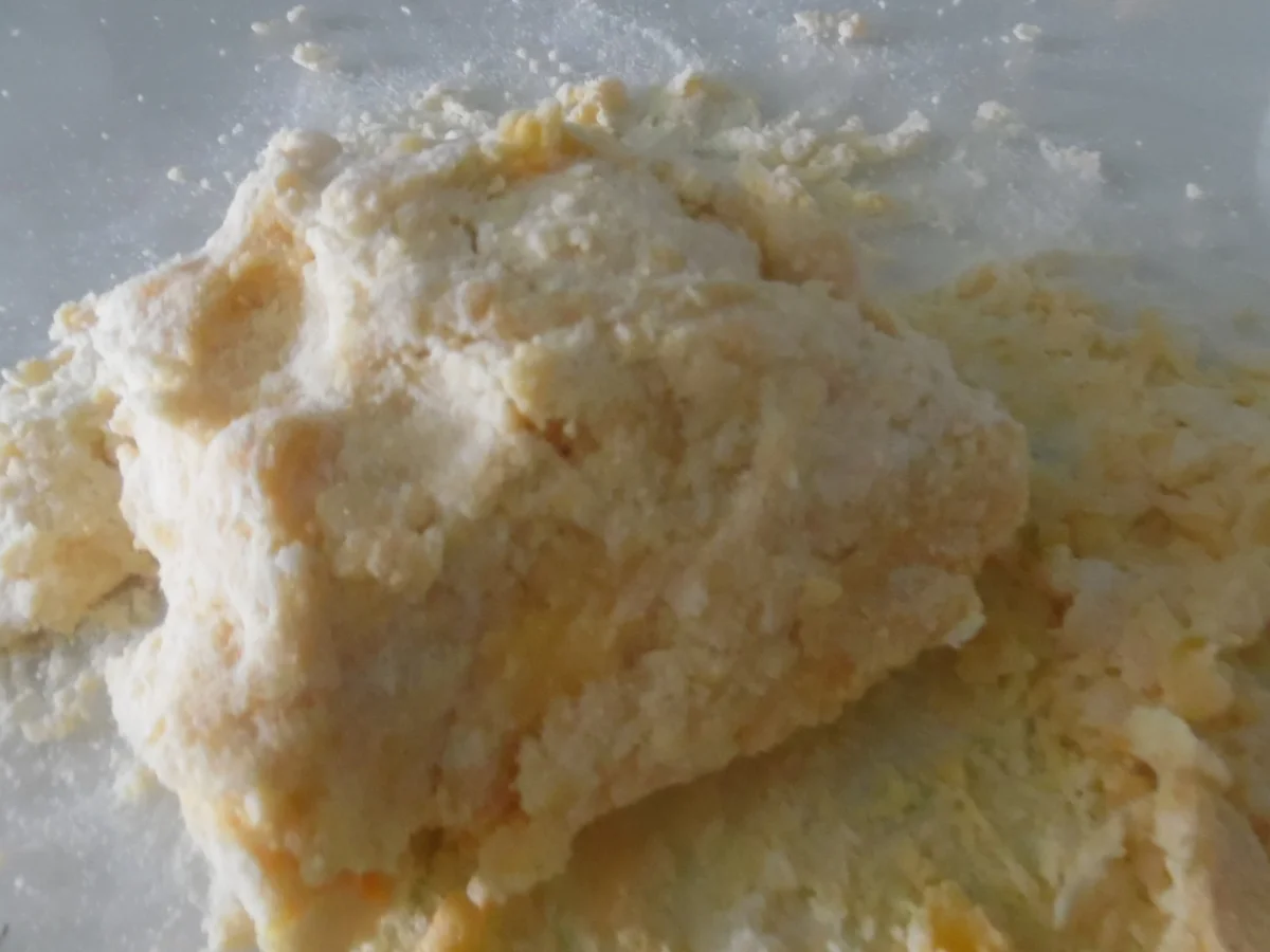 Rezept: Cannelloni mit Brätfüllung, Spinat-Frischkäse-Soße und Parmesan-Haube Bild Nr. 5664 Cannelloni mit Brätfüllung, Spinat-Frischkäse-Soße und Parmesan-Haube - Rezept - Bild Nr. 5664