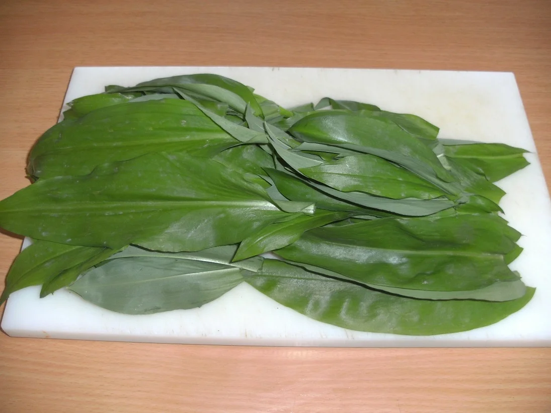 Bärlauchöl - Rezept - Bild Nr. 5638