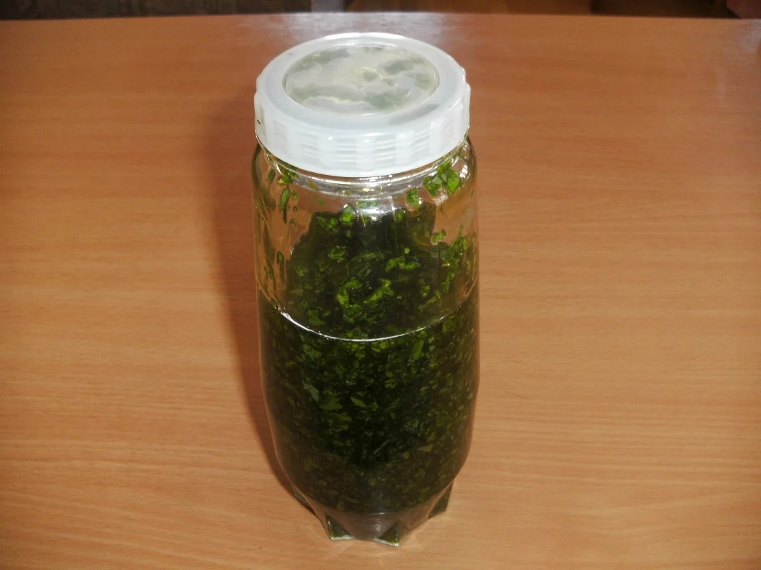 Bärlauchöl - Rezept - Bild Nr. 5641