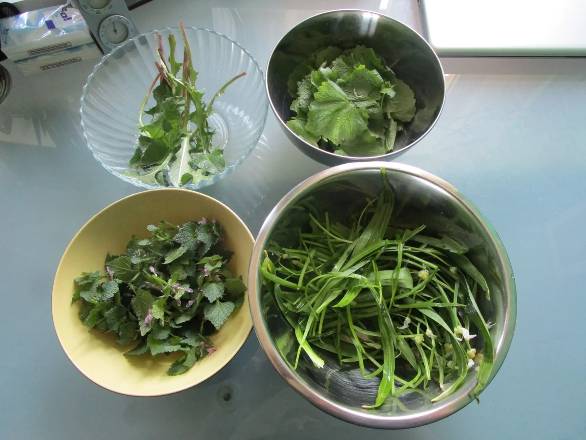 Wildkräuterquark - Rezept - Bild Nr. 5638