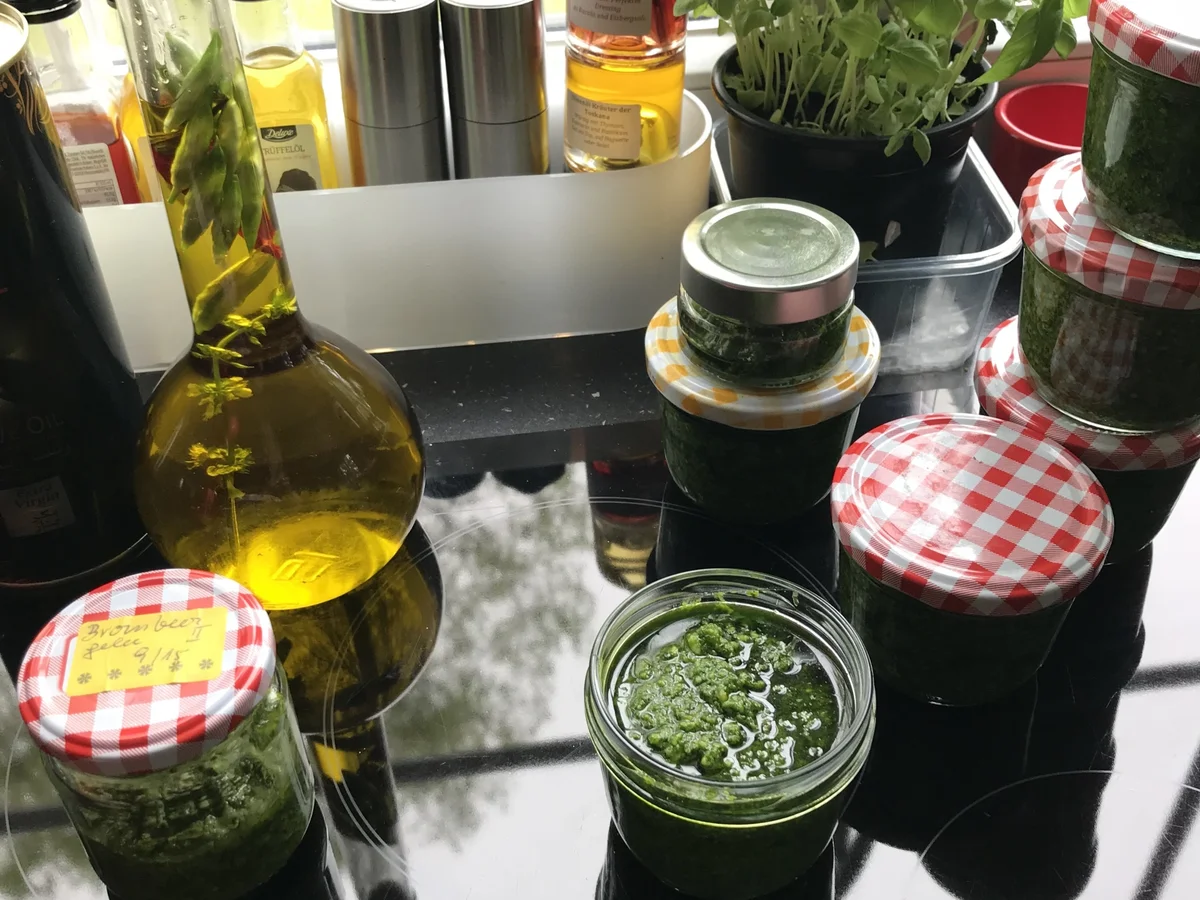 Mein Bärlauch-Pesto - Rezept - Bild Nr. 5645