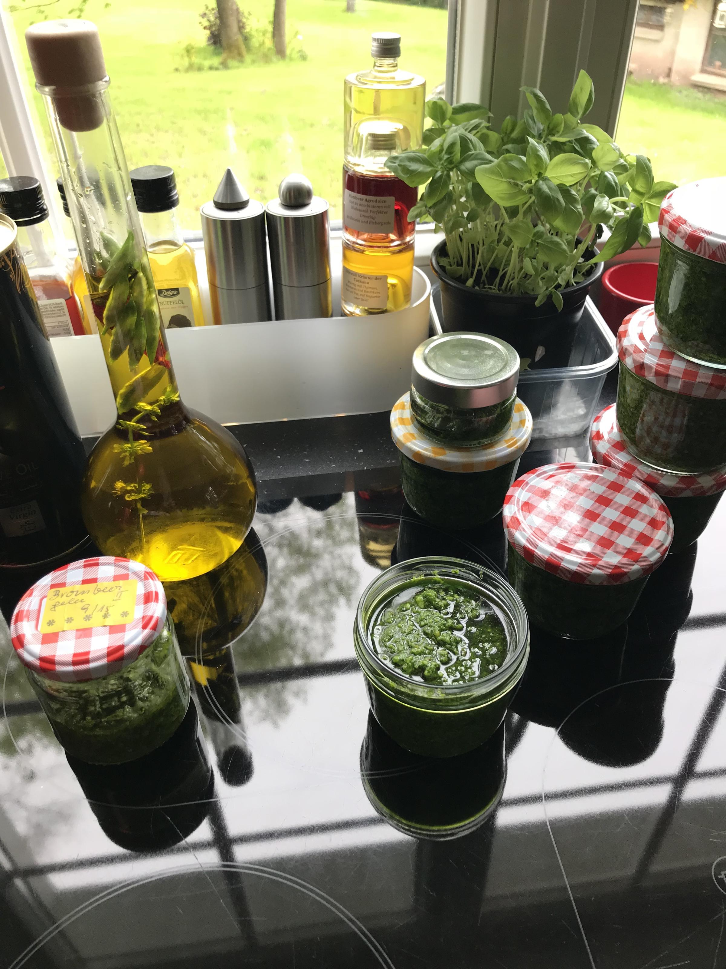 Mein Bärlauch-Pesto - Rezept Eingereicht von lara_cayenne