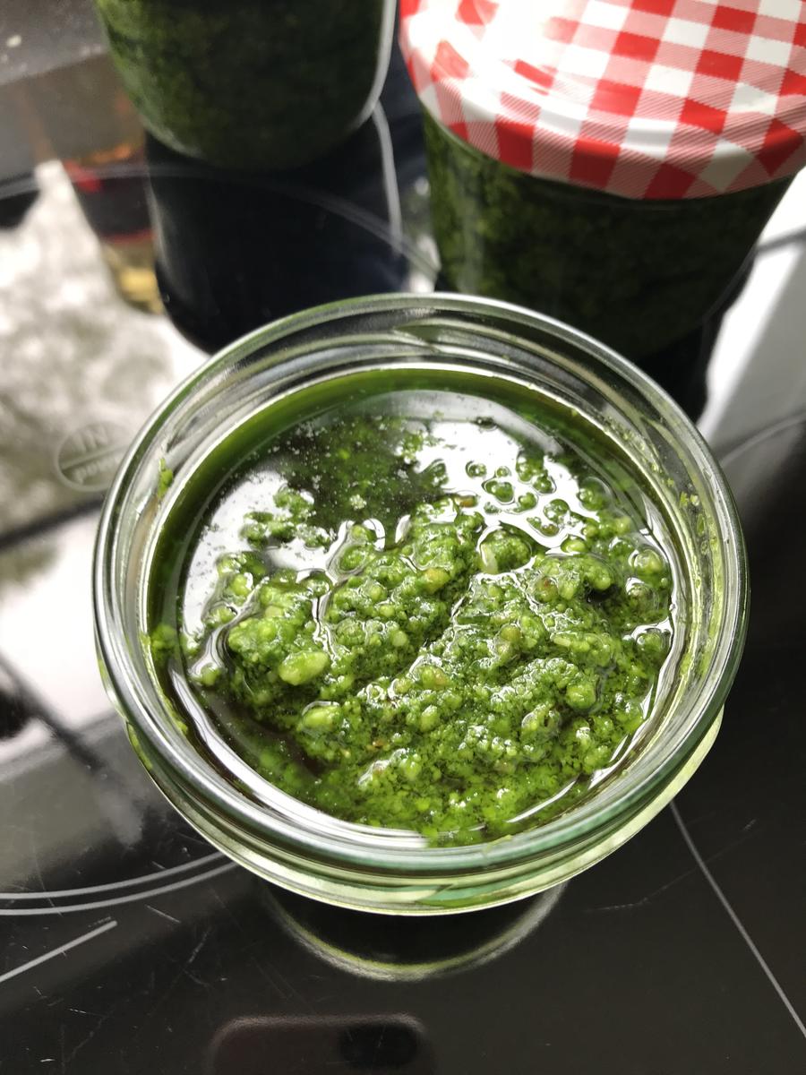 Mein Bärlauch-Pesto - Rezept - Bild Nr. 5646