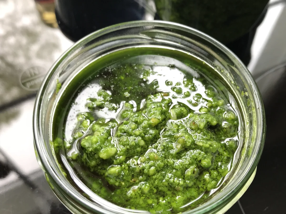 Mein Bärlauch-Pesto - Rezept - Bild Nr. 5646