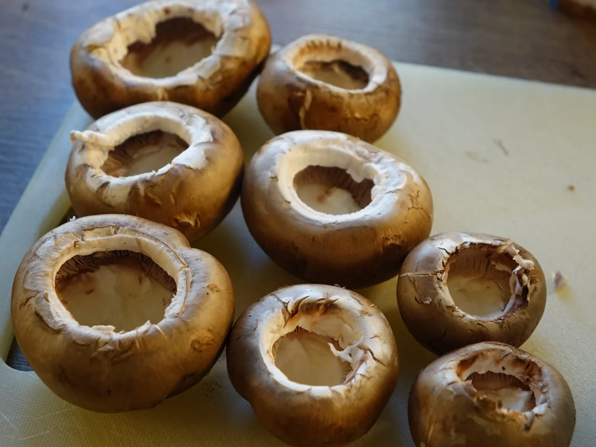 Gefüllte Champignons - Rezept - Bild Nr. 5645