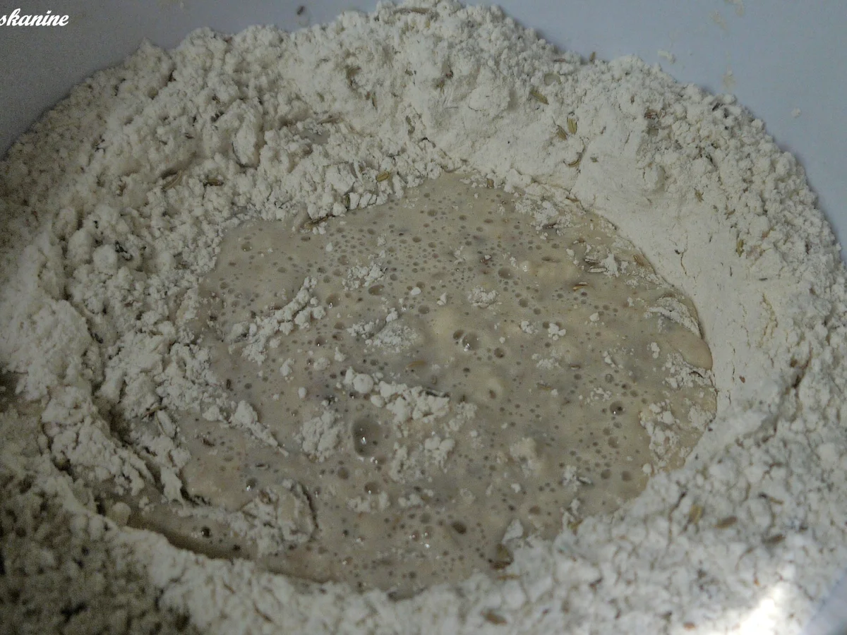 Fenchel-Gewürzbrot - Rezept - Bild Nr. 5652