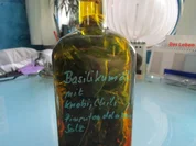 Basilikumöl mit Chili, Knobi, Pimenton de la vera, Salz - Rezept - Bild Nr. 2