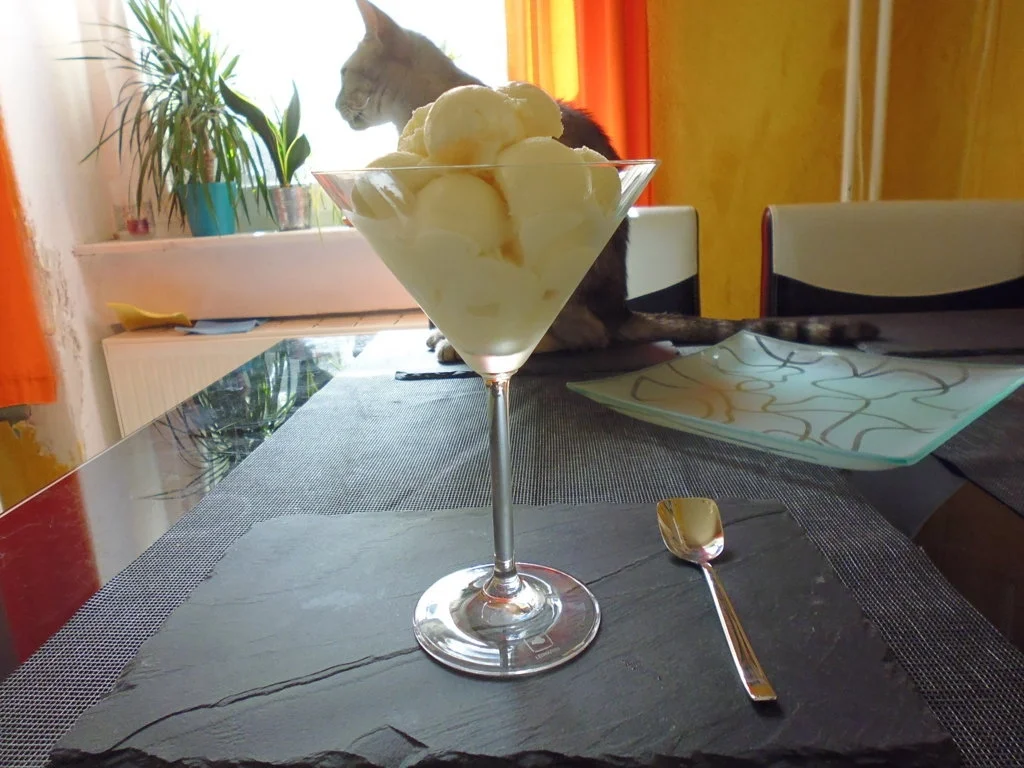 Holunderblütensorbet - Rezept - Bild Nr. 8