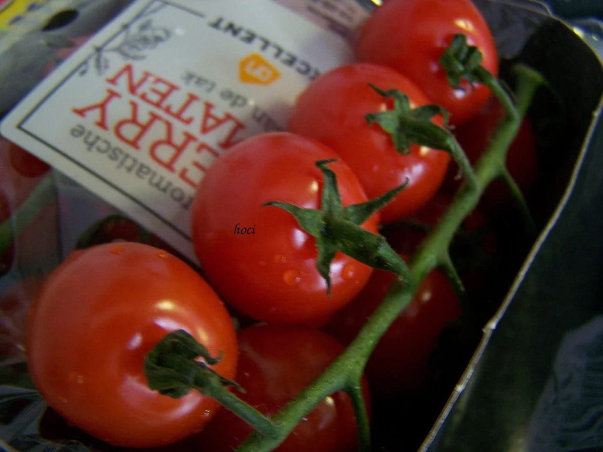 Illustrer Salat mit warmer Tomate - Rezept - Bild Nr. 5659