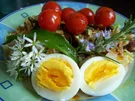 Illustrer Salat mit warmer Tomate - Rezept - Bild Nr. 5664